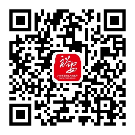 裕安区人民政府发布