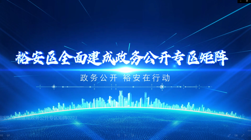 裕安区全面建成政务公开专区矩阵