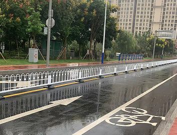 玉泉巷（丽康路-振华路）道路工程项目简介