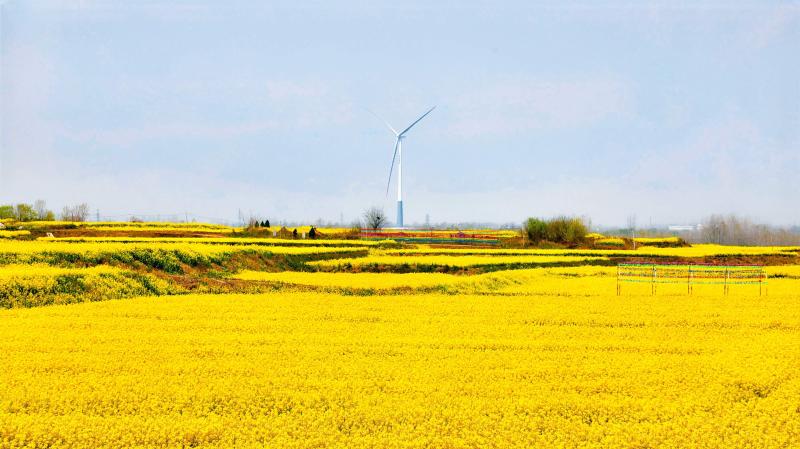 春晖流金