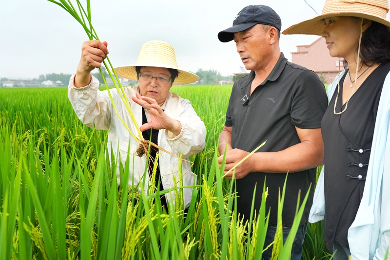 农技传经
